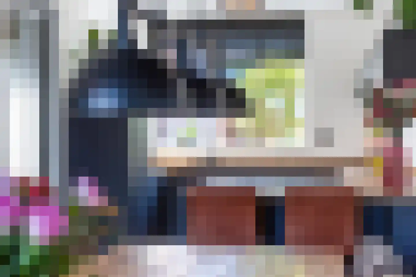 Vliegenzwam 37 Apeldoorn thumbnail 17