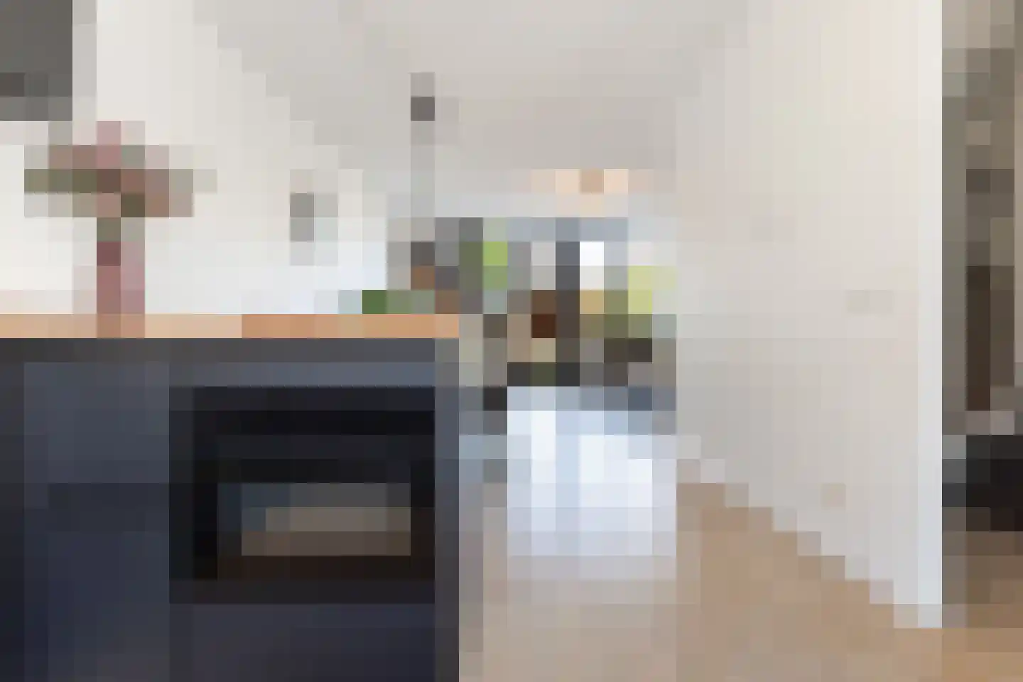Vliegenzwam 37 Apeldoorn thumbnail 20