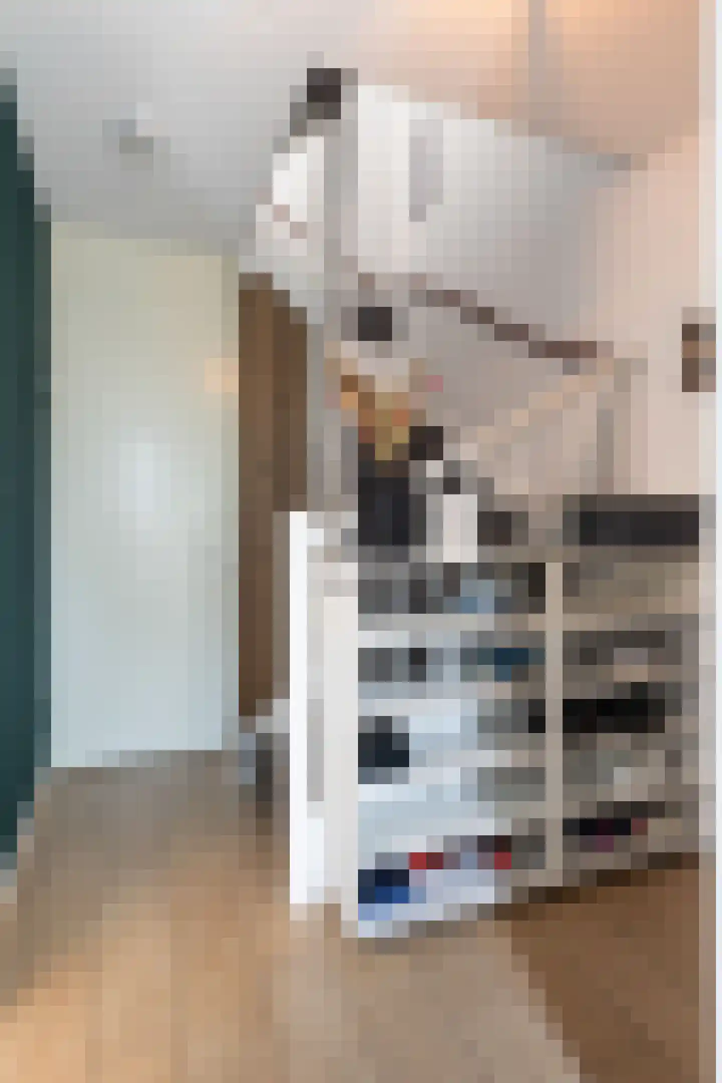 Vliegenzwam 37 Apeldoorn thumbnail 25