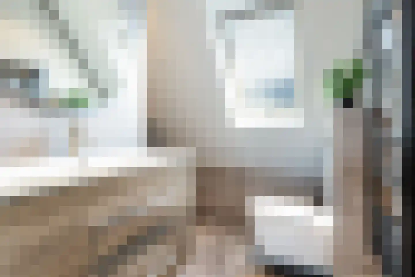 Vliegenzwam 37 Apeldoorn thumbnail 28
