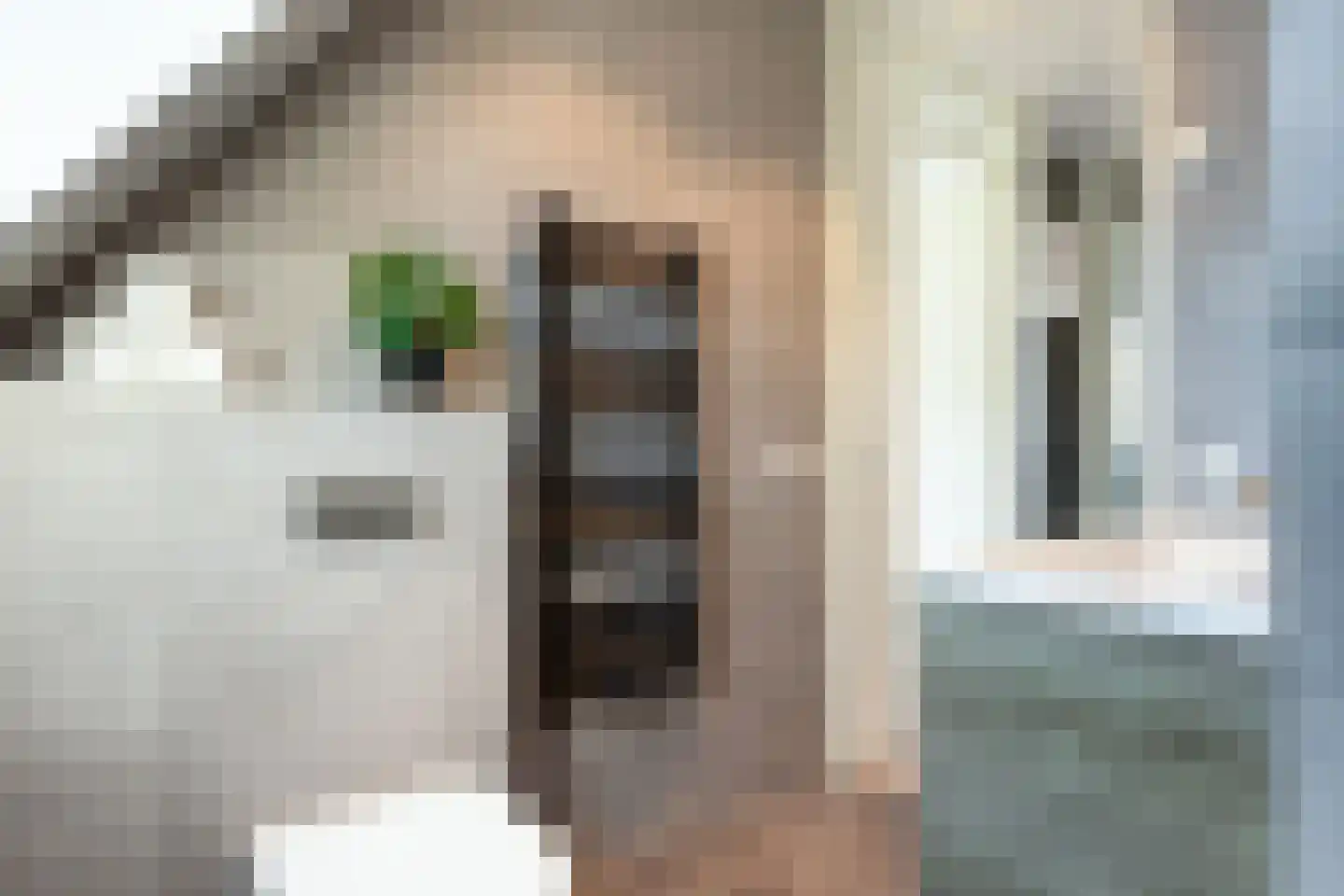 Vliegenzwam 37 Apeldoorn thumbnail 31