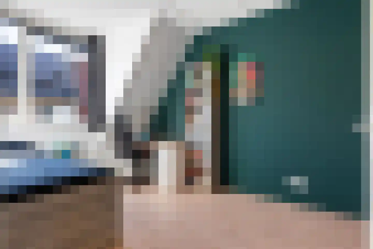 Vliegenzwam 37 Apeldoorn thumbnail 32