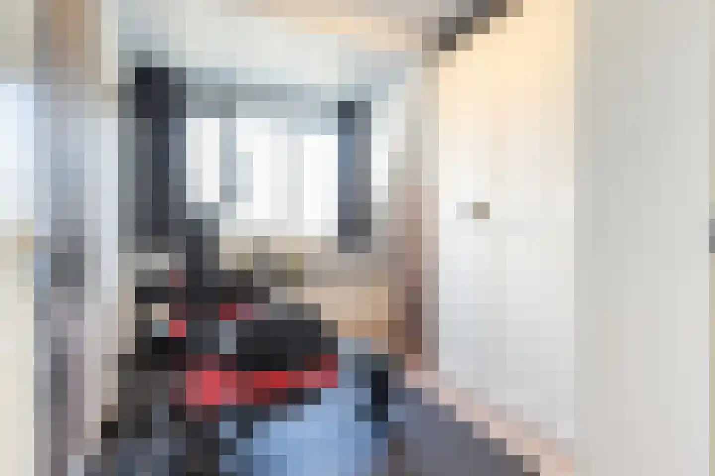 Vliegenzwam 37 Apeldoorn thumbnail 33