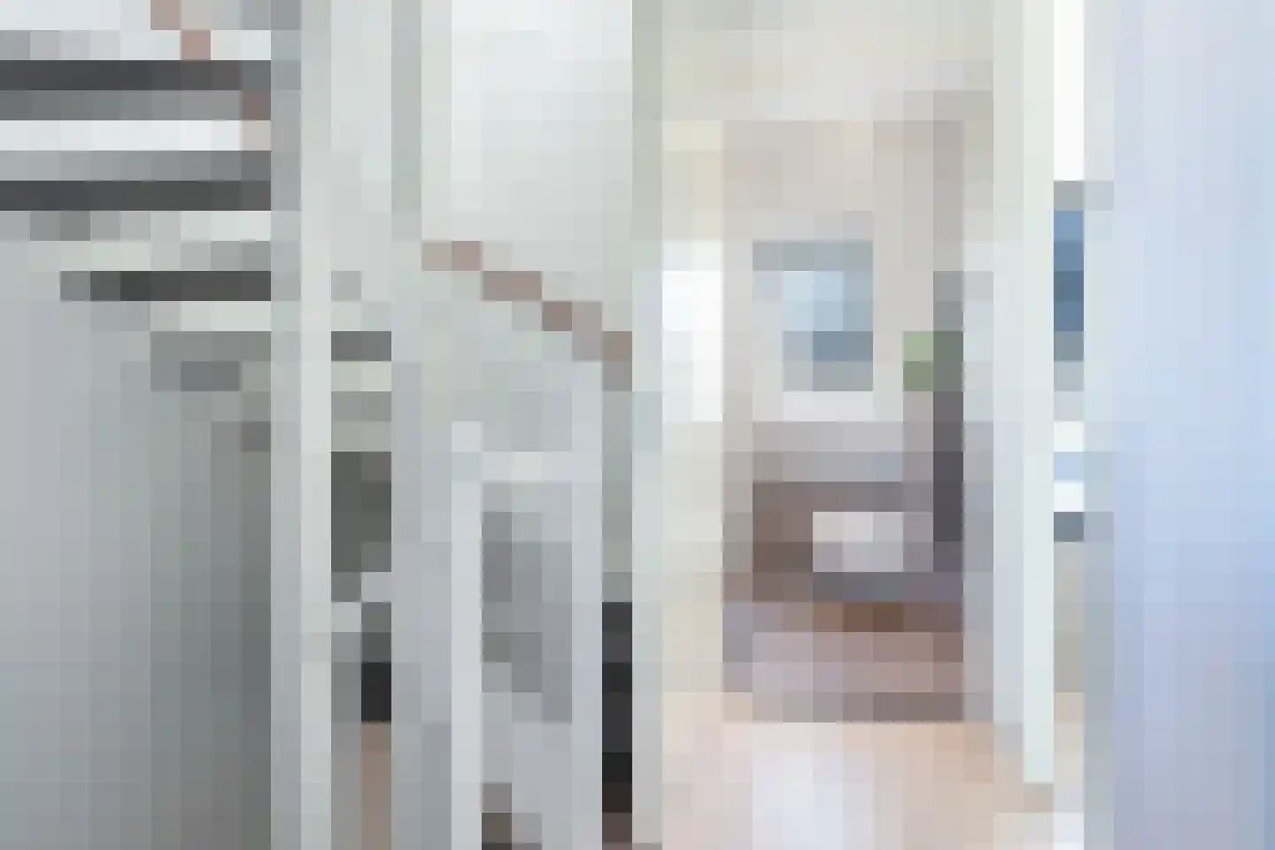 Vliegenzwam 37 Apeldoorn thumbnail 34