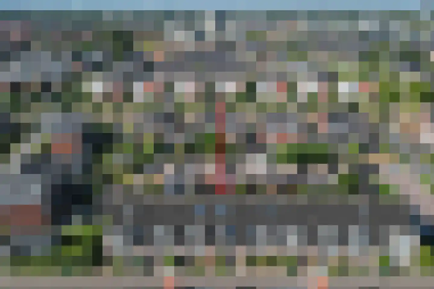 Vliegenzwam 37 Apeldoorn thumbnail 39