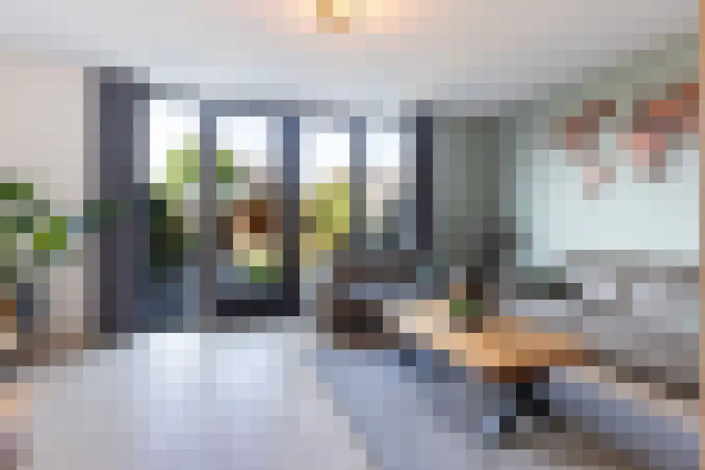 Vliegenzwam 37 Apeldoorn thumbnail 5