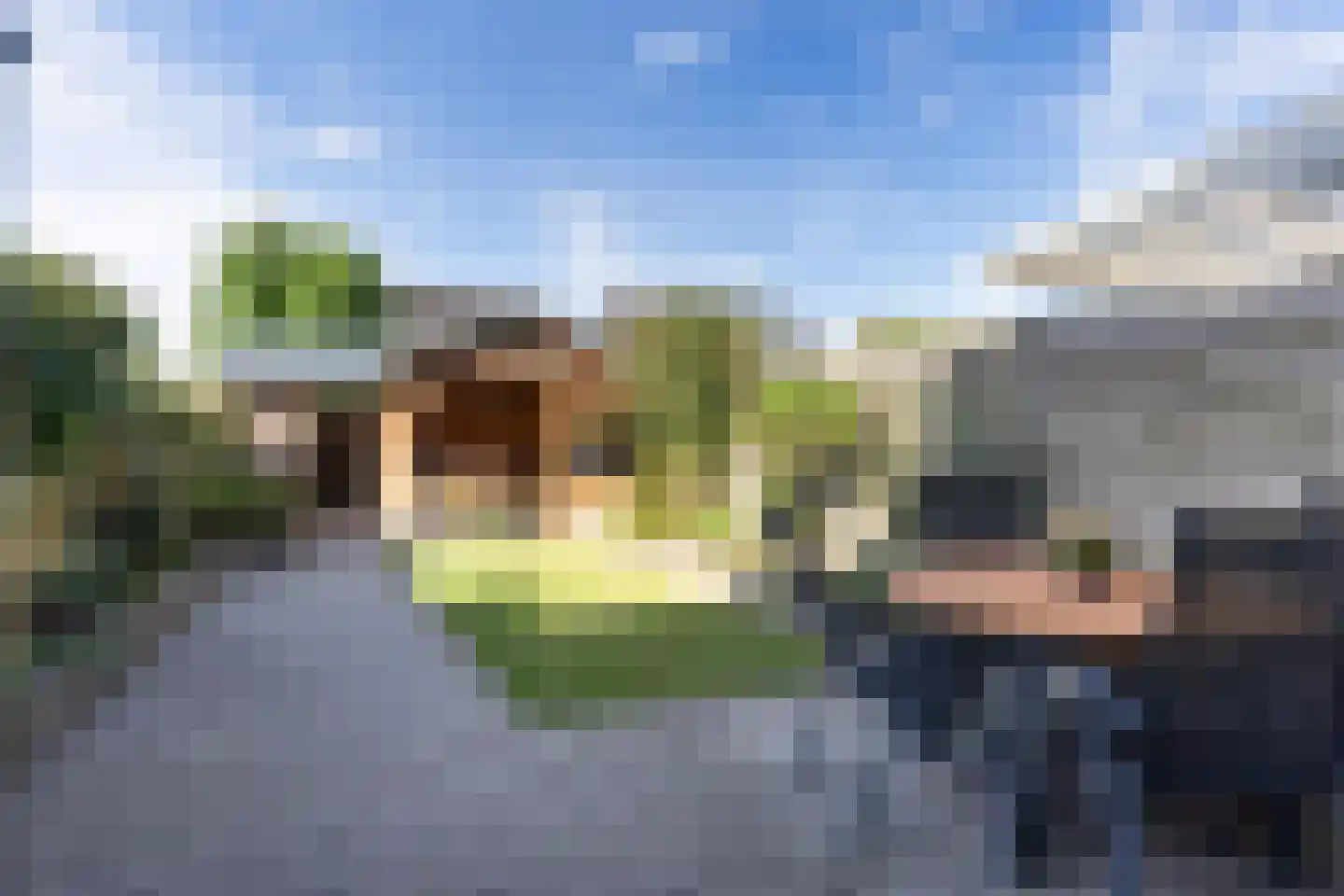 Vliegenzwam 37 Apeldoorn thumbnail 6
