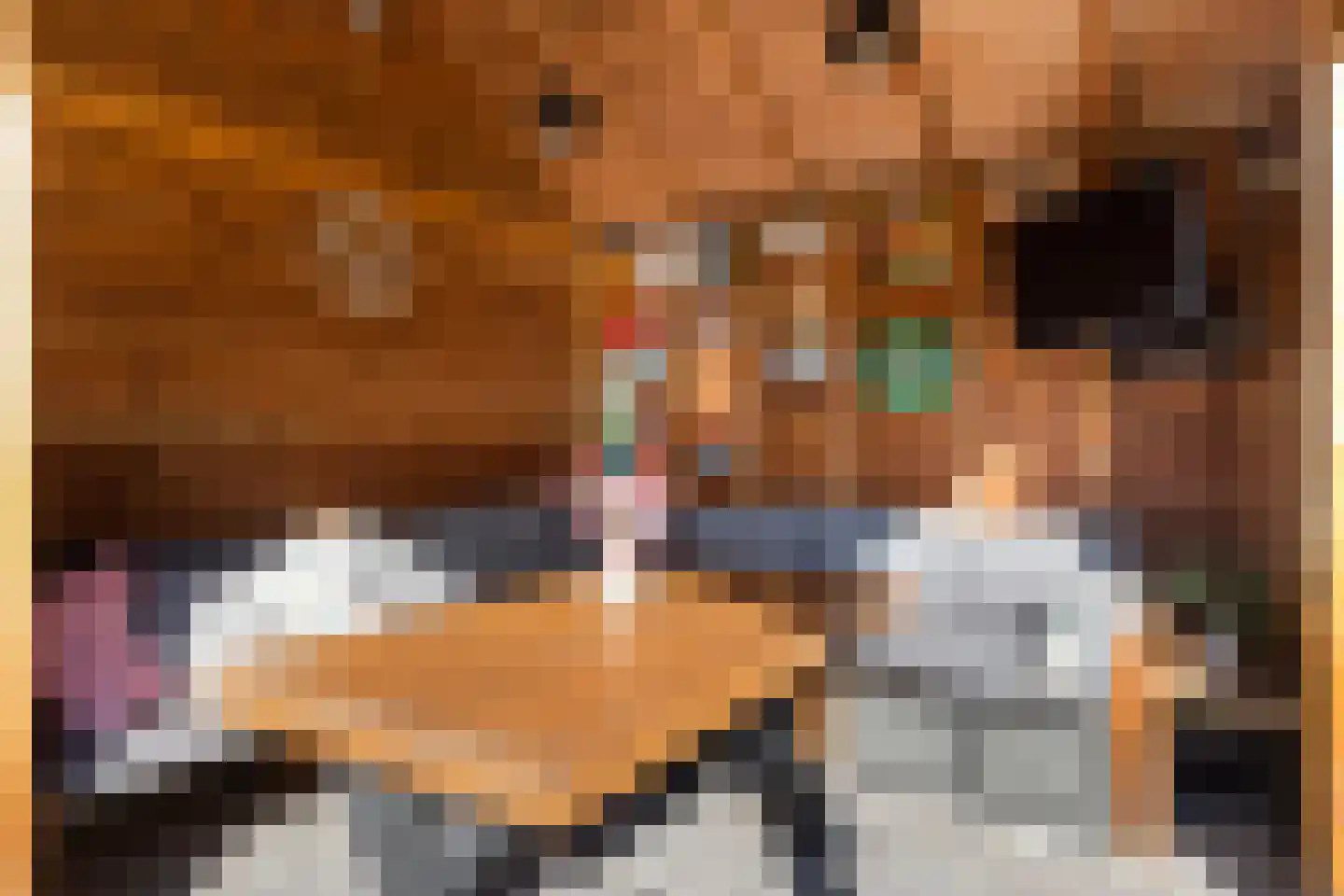 Vliegenzwam 37 Apeldoorn thumbnail 8