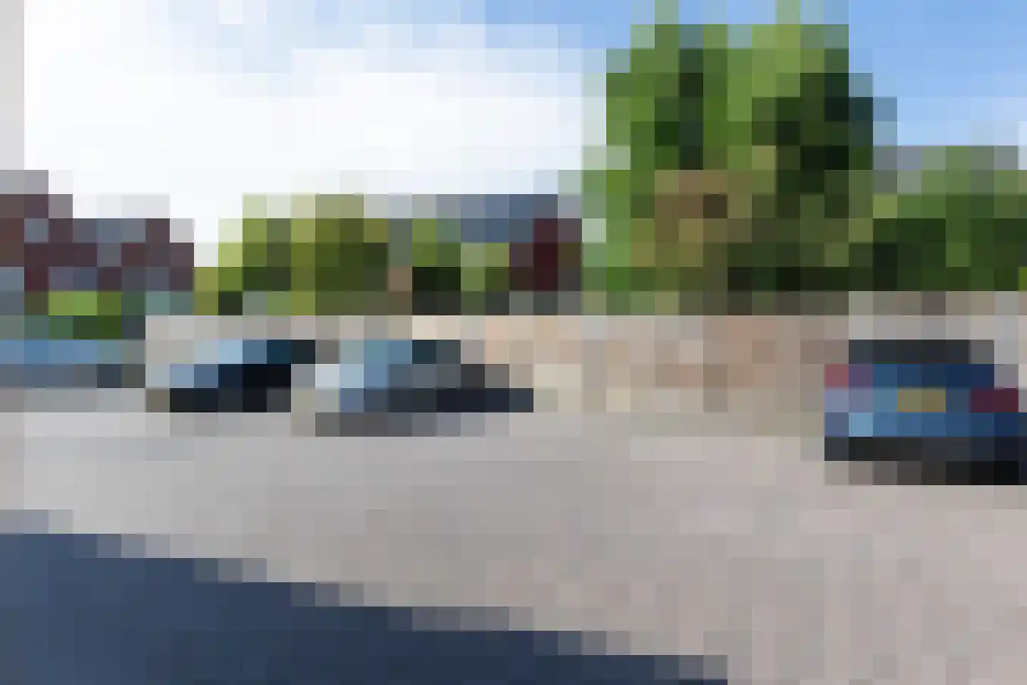Vliegenzwam 37 Apeldoorn thumbnail 9