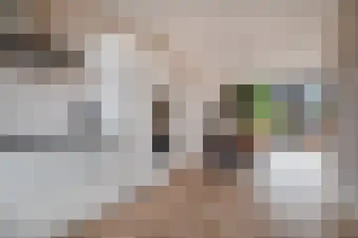 Vliegenzwam 45 Apeldoorn thumbnail 11