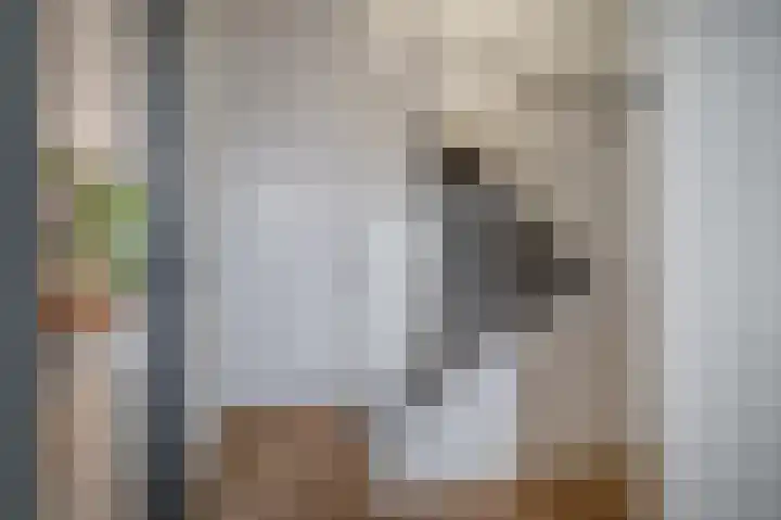 Vliegenzwam 45 Apeldoorn thumbnail 13