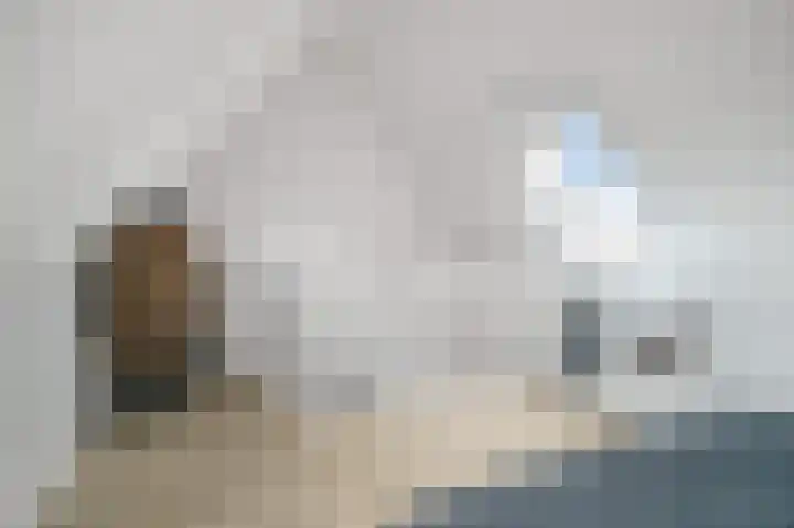 Vliegenzwam 45 Apeldoorn thumbnail 22