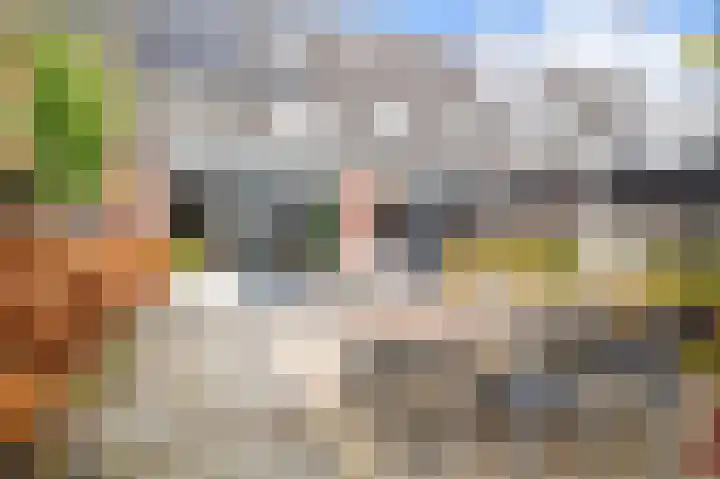 Vliegenzwam 45 Apeldoorn thumbnail 23