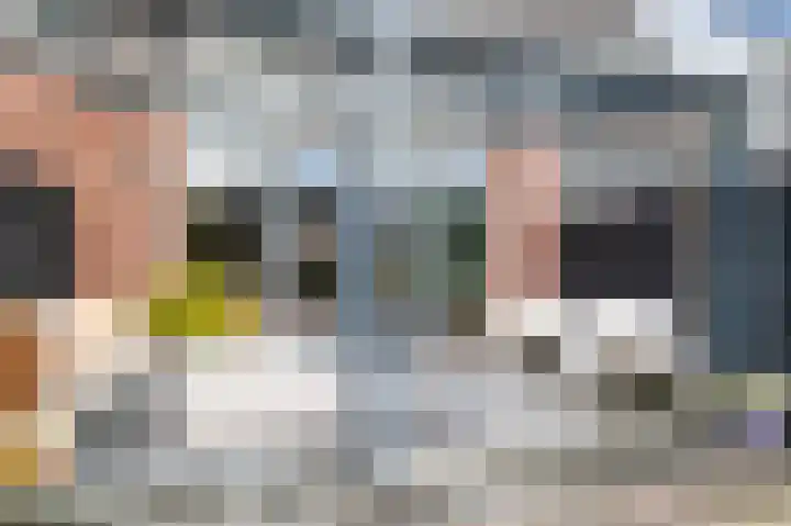 Vliegenzwam 45 Apeldoorn thumbnail 24