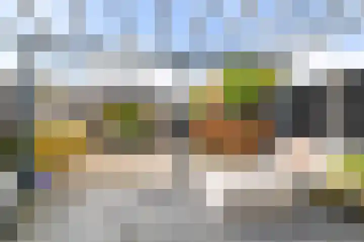 Vliegenzwam 45 Apeldoorn thumbnail 25