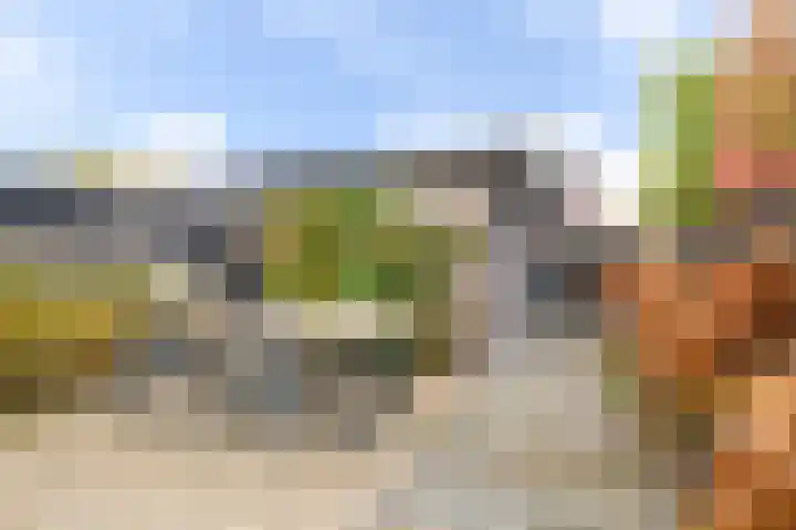 Vliegenzwam 45 Apeldoorn thumbnail 26
