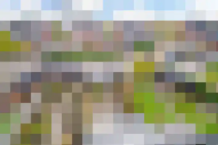 Vliegenzwam 45 Apeldoorn thumbnail 30