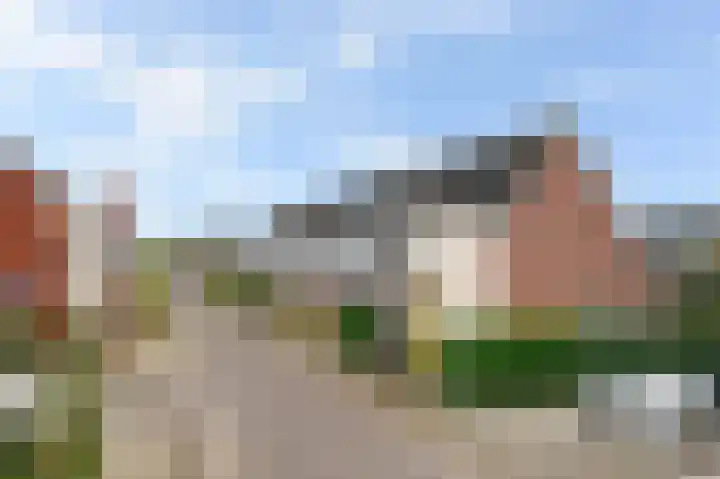 Vliegenzwam 45 Apeldoorn thumbnail 33