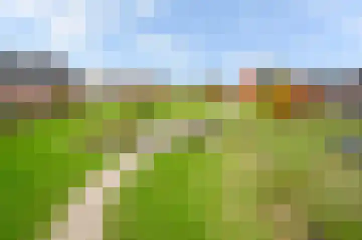 Vliegenzwam 45 Apeldoorn thumbnail 34