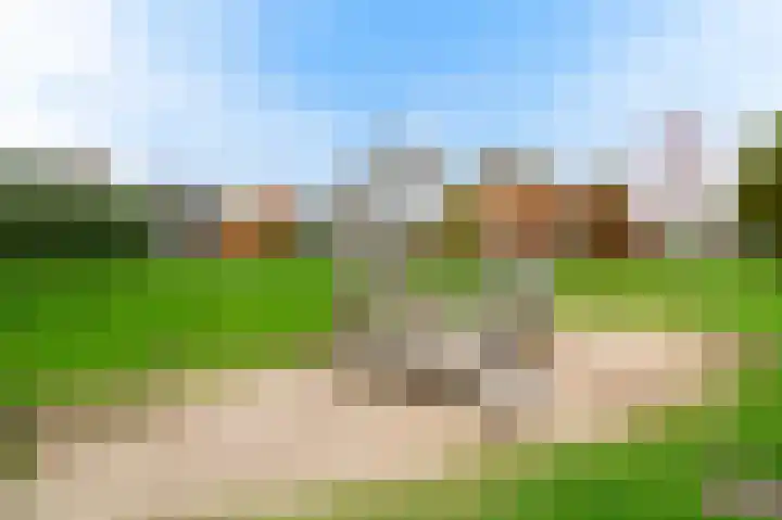 Vliegenzwam 45 Apeldoorn thumbnail 35