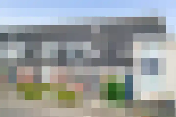 Vliegenzwam 45 Apeldoorn thumbnail 4