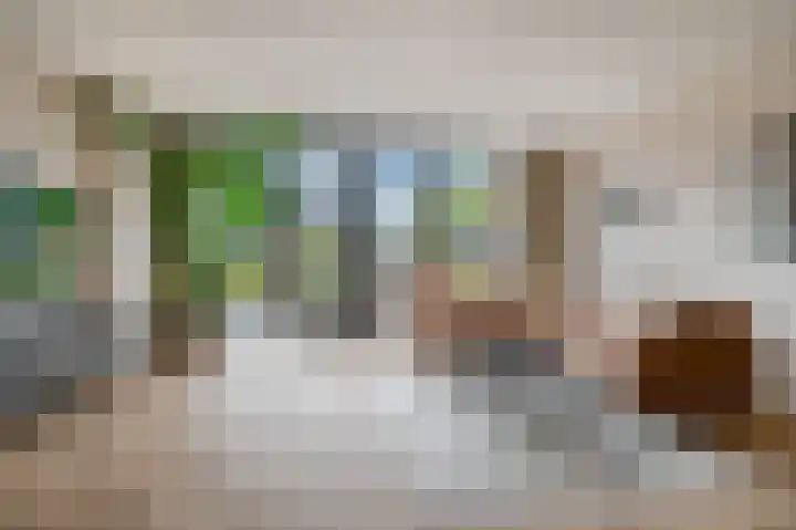 Vliegenzwam 45 Apeldoorn thumbnail 5