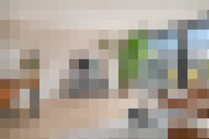 Vliegenzwam 45 Apeldoorn thumbnail 6
