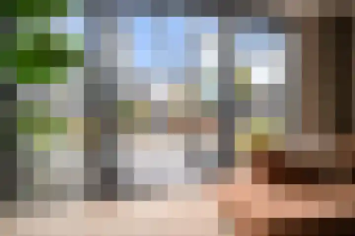 Vliegenzwam 45 Apeldoorn thumbnail 7