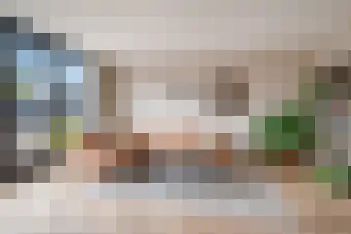 Vliegenzwam 45 Apeldoorn thumbnail 8