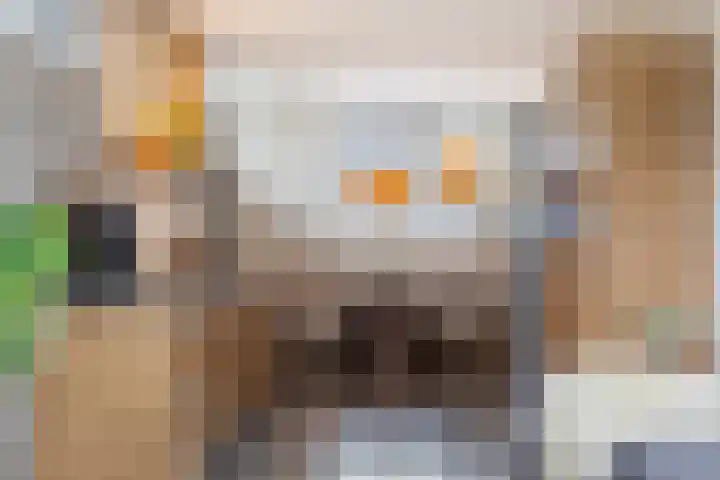 Vliegenzwam 47 Apeldoorn thumbnail 10