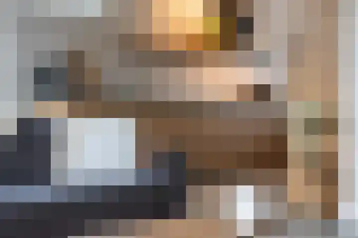 Vliegenzwam 47 Apeldoorn thumbnail 12