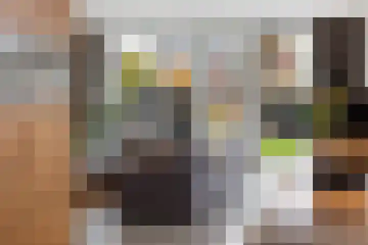 Vliegenzwam 47 Apeldoorn thumbnail 13