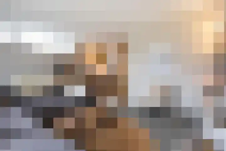 Vliegenzwam 47 Apeldoorn thumbnail 15