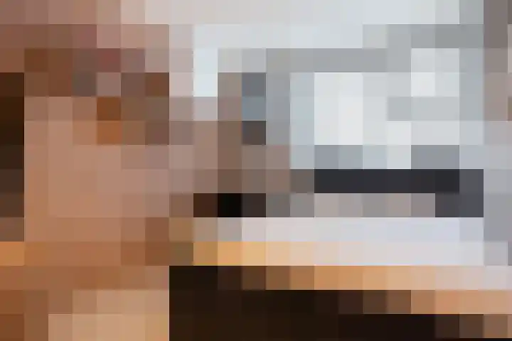 Vliegenzwam 47 Apeldoorn thumbnail 20