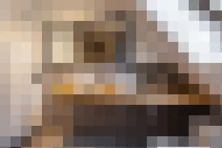 Vliegenzwam 47 Apeldoorn thumbnail 25