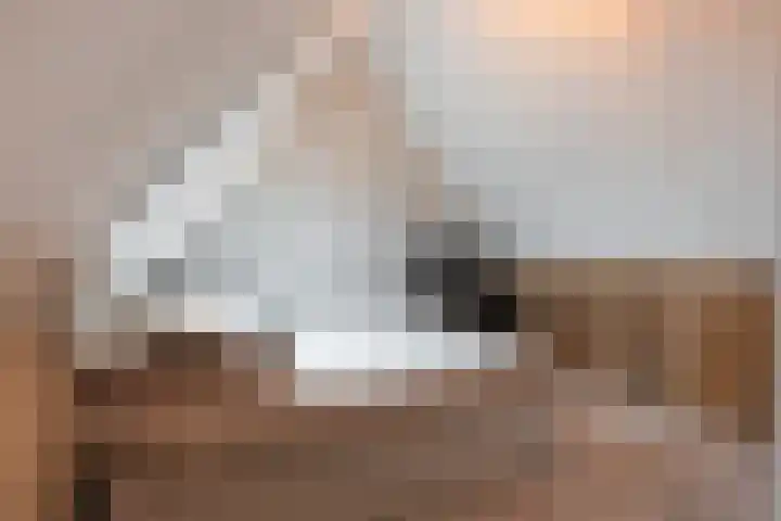 Vliegenzwam 47 Apeldoorn thumbnail 27