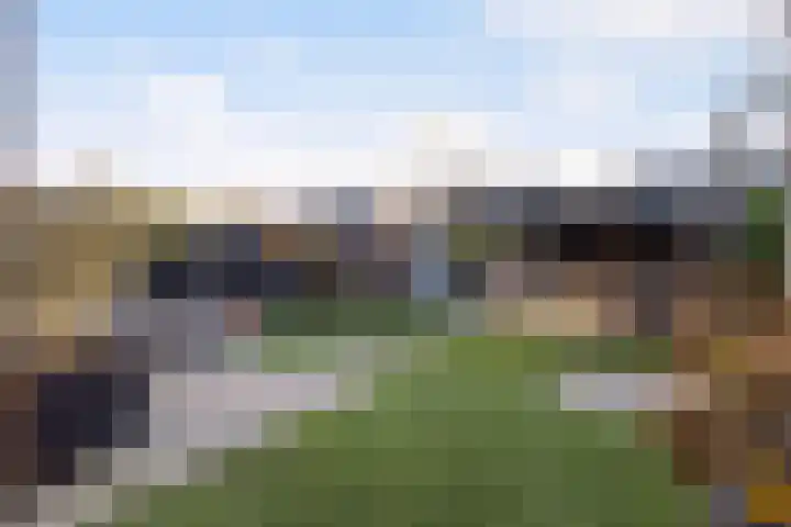Vliegenzwam 47 Apeldoorn thumbnail 29