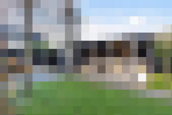 Vliegenzwam 47 Apeldoorn thumbnail 30