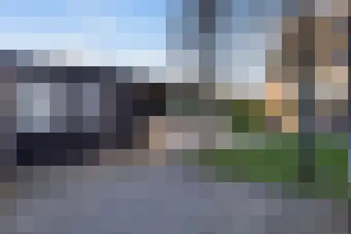 Vliegenzwam 47 Apeldoorn thumbnail 32