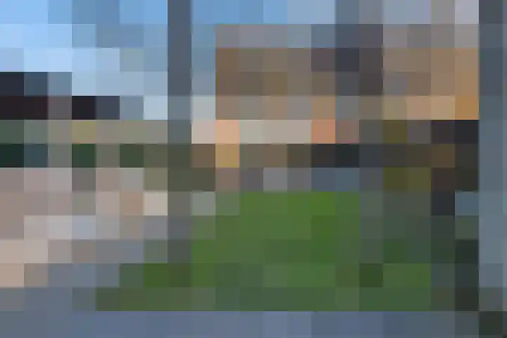 Vliegenzwam 47 Apeldoorn thumbnail 33