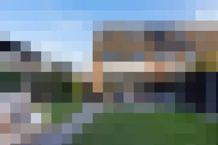 Vliegenzwam 47 Apeldoorn thumbnail 34