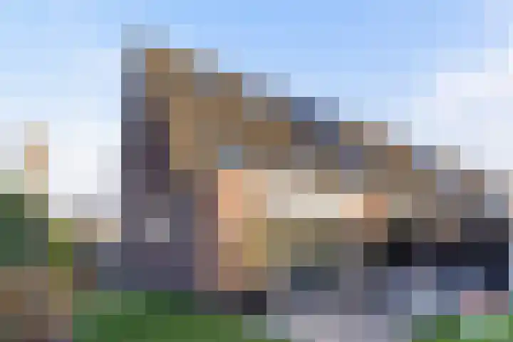 Vliegenzwam 47 Apeldoorn thumbnail 36