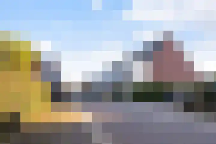 Vliegenzwam 47 Apeldoorn thumbnail 38
