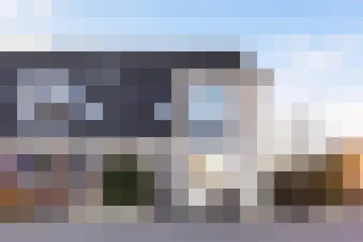 Vliegenzwam 47 Apeldoorn thumbnail 39