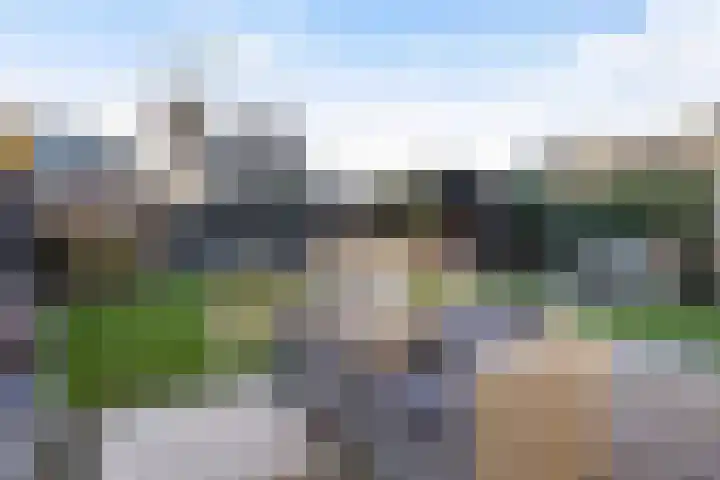 Vliegenzwam 47 Apeldoorn thumbnail 4