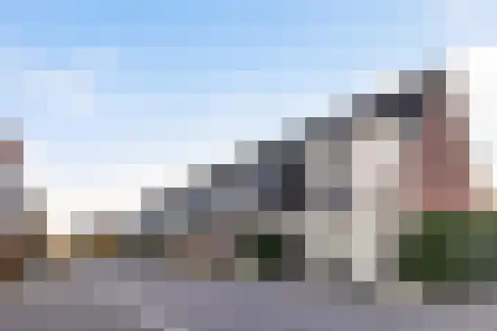 Vliegenzwam 47 Apeldoorn thumbnail 40