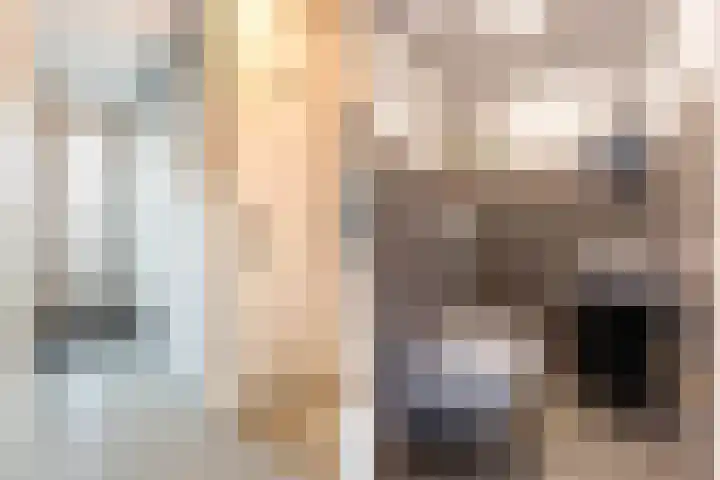 Vliegenzwam 47 Apeldoorn thumbnail 6