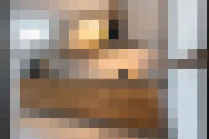 Vliegenzwam 47 Apeldoorn thumbnail 7