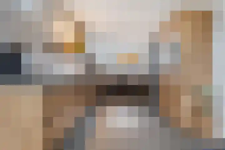 Vliegenzwam 47 Apeldoorn thumbnail 9