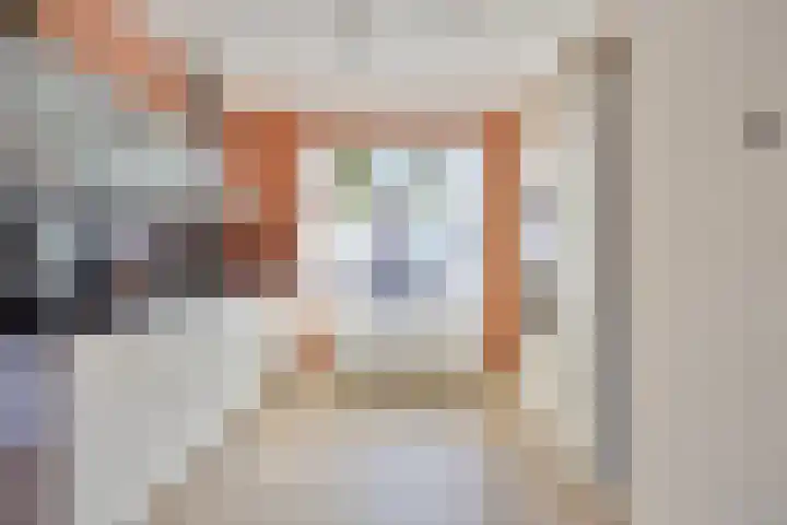 Vliegenzwam 85 Apeldoorn thumbnail 10